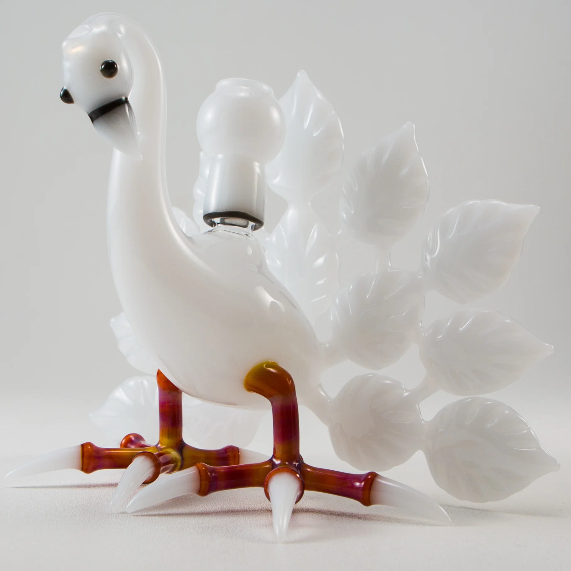 Burtoni - Albino Peacock - Image 7
