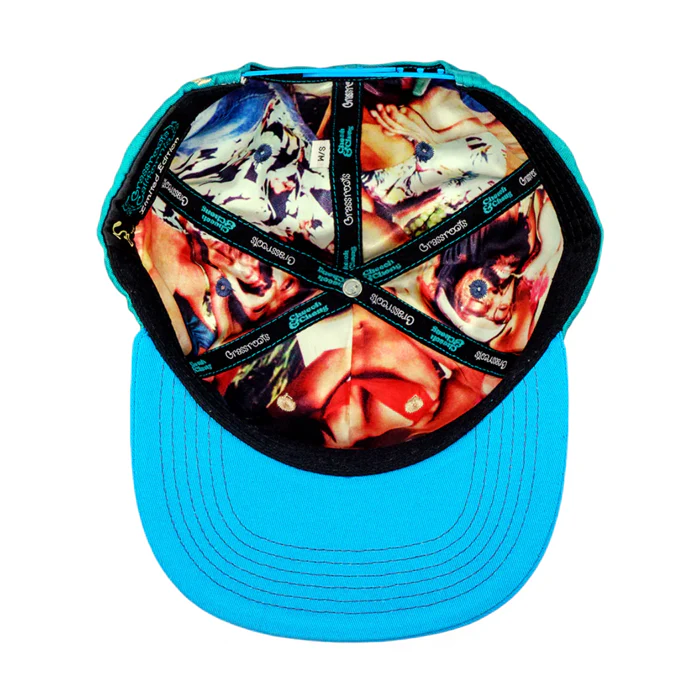 Grassroots - Cheech and Chong Nice Dreams Blue Snapback Hat - Large/XL - Image 2