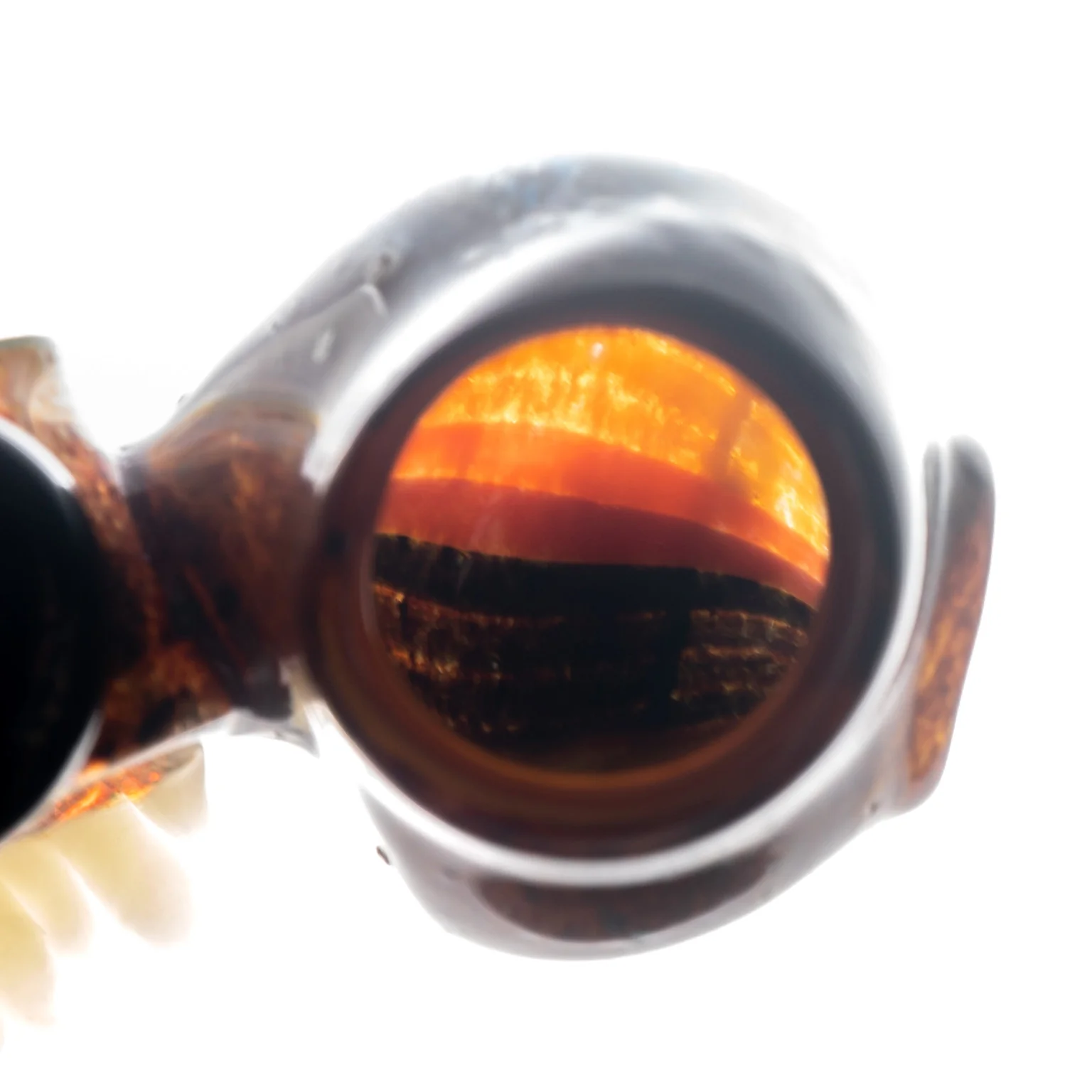 Salt - 18mm Earwig Slide - Amber - Image 3